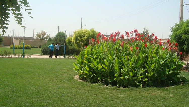 فضای سبز