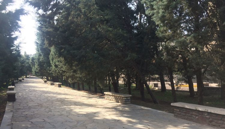 بوستان بانوان